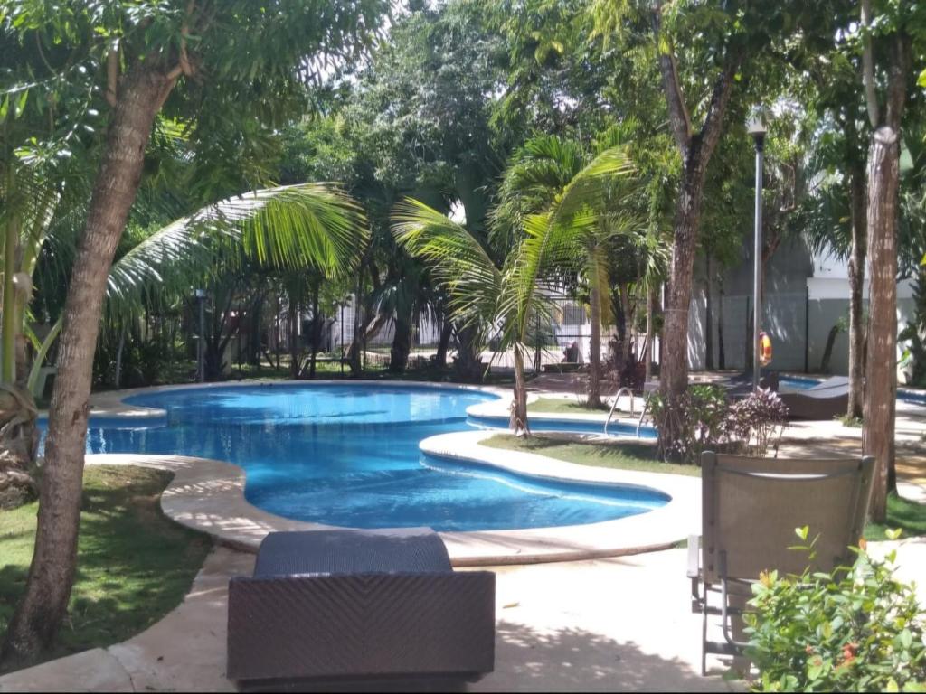 Una piscina con palmeras a su alrededor. en casa kiwi playa del carmen, en Playa del Carmen
