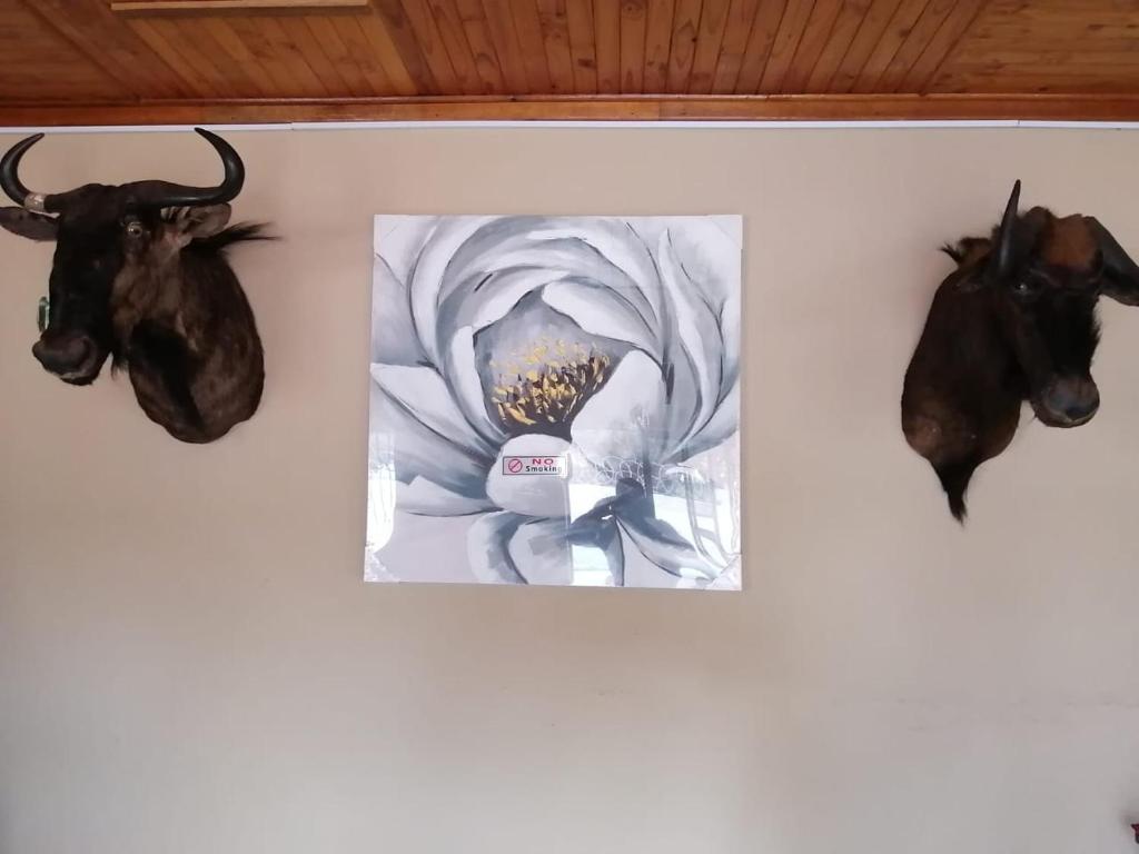 Φωτογραφία από το άλμπουμ του Royal guest lodge σε Middelburg