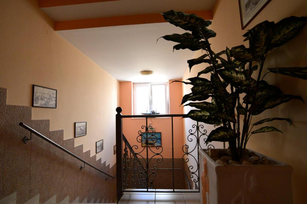 Fotografie z fotogalerie ubytování Electra Hotel Piraeus v destinaci Piraeus