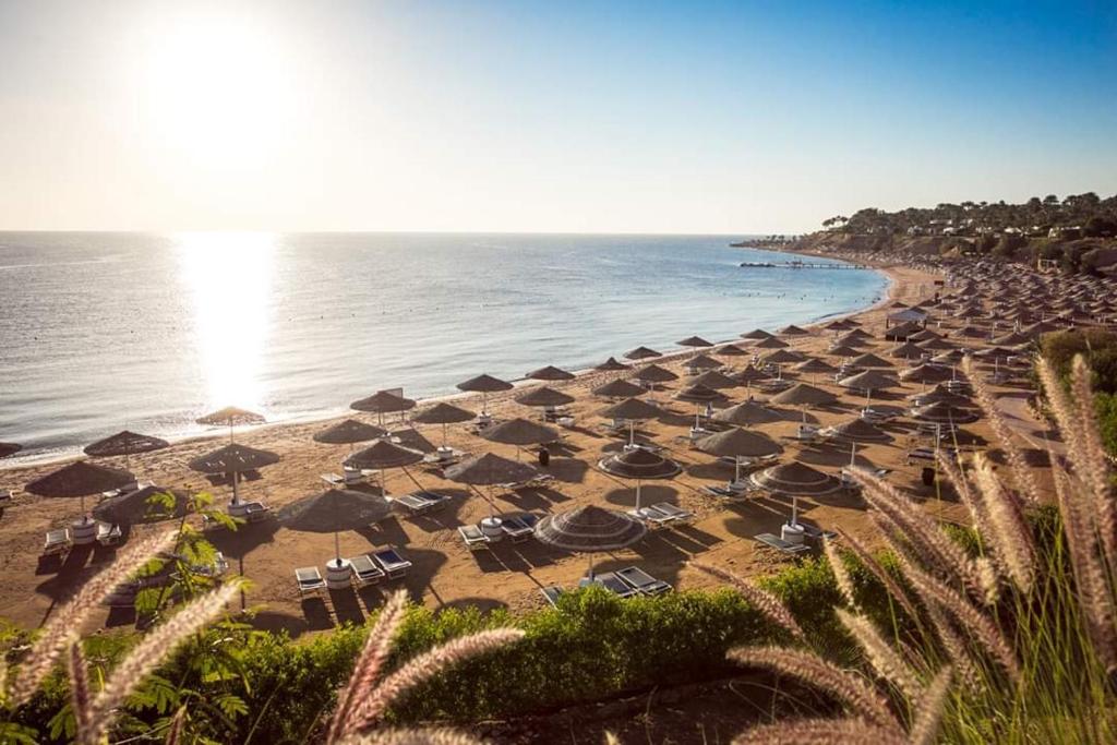- une plage avec des parasols et des chaises et l'océan dans l'établissement Oasis Sea View unit at Domina Coral Bay, à Charm el-Cheikh