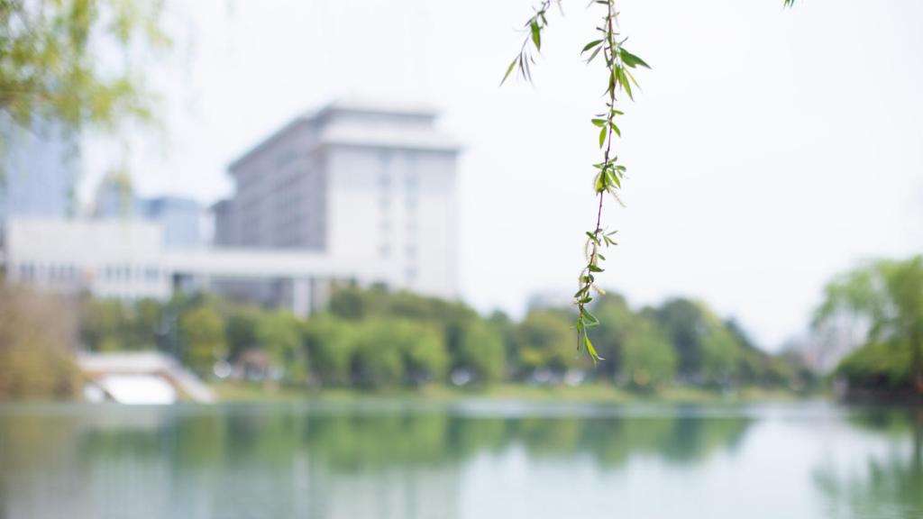 Výhled na řeku, která protéká v blízkosti hotelu