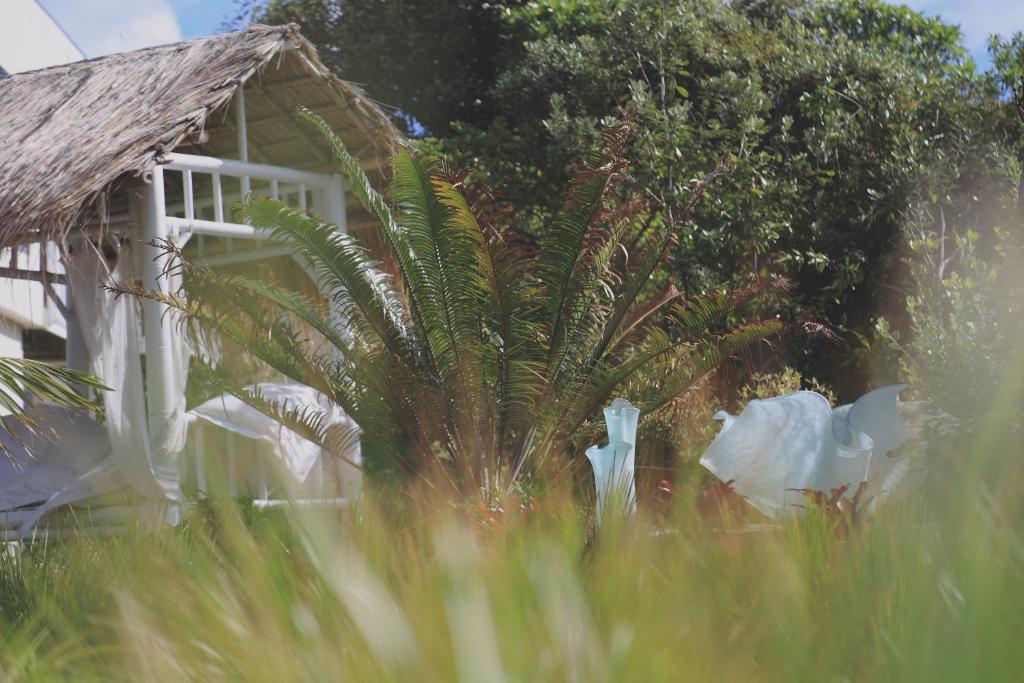 Two Bare Feet - Resim 20