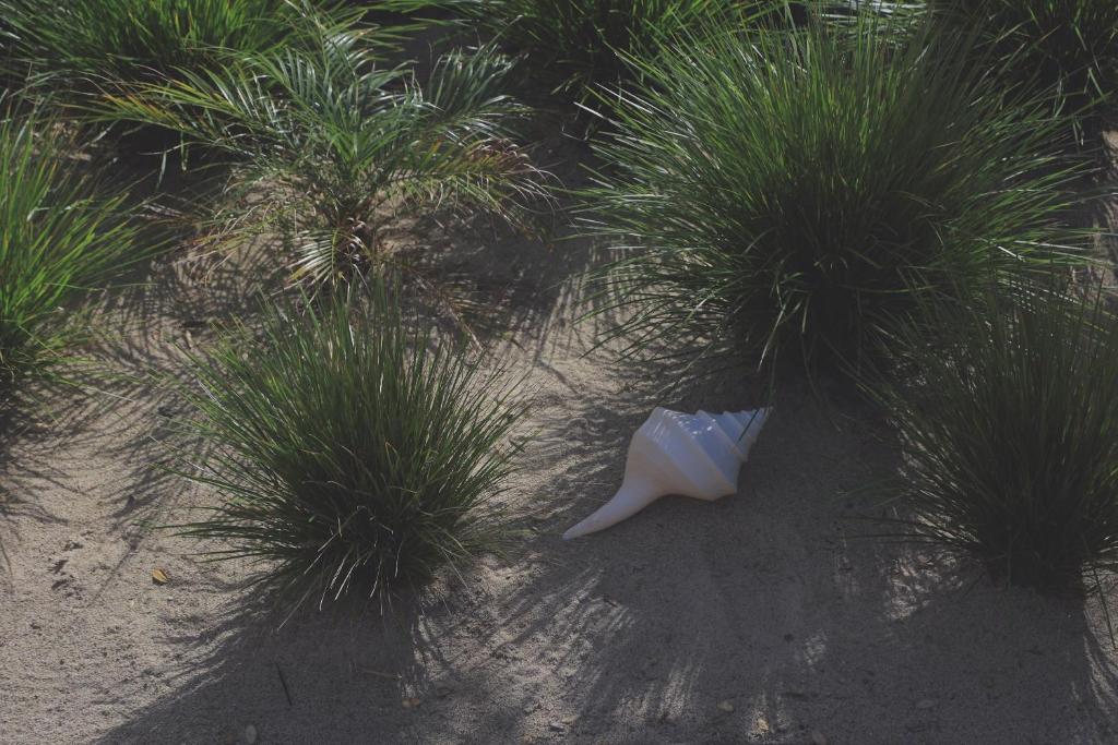 Two Bare Feet - Resim 26