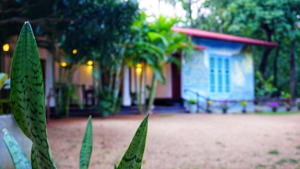 Zahrada ubytování Sigiriya Royal Resort