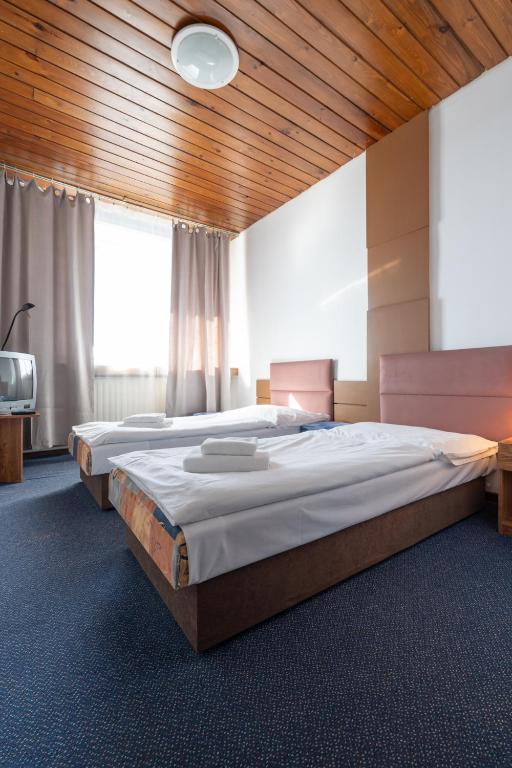 Postel nebo postele na pokoji v ubytování Hotel Slovakia