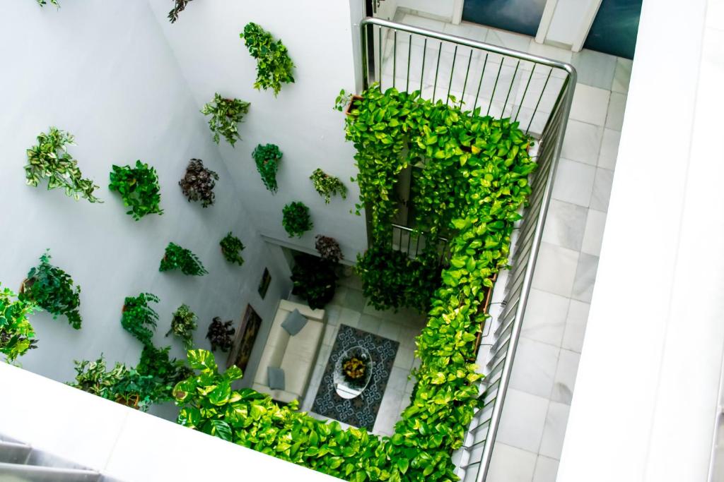 Un Patio en Santa Cruz - Resim 44