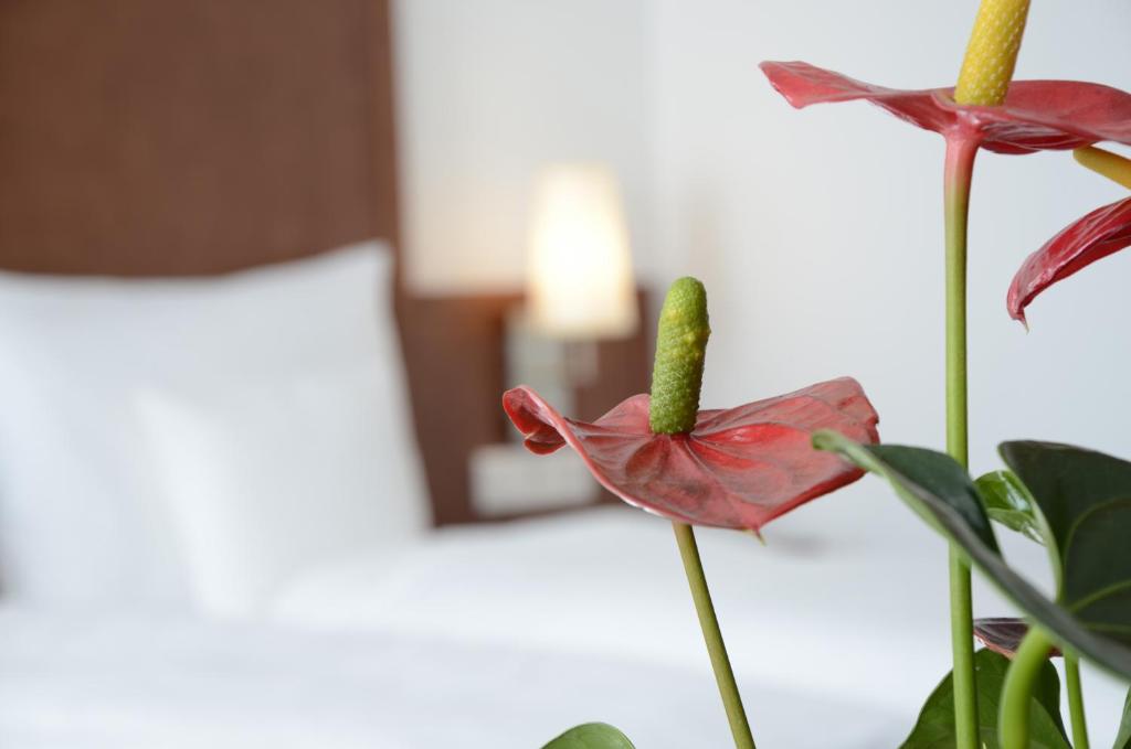 Weichandhof - Resim 13