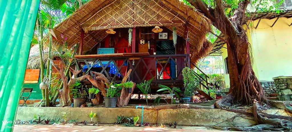Zahrada ubytování Jungle House Kep