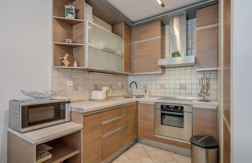 Kuchyňa alebo kuchynka v ubytovaní Apartment Stiv Luxe