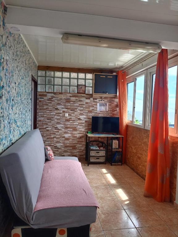 TV a/nebo společenská místnost v ubytování Appartement Le Papangue