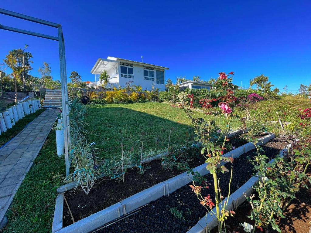 Jardín al aire libre en Querencia Cabin