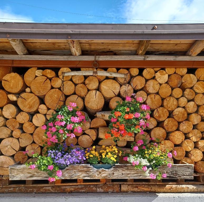 Zahrada ubytování Locanda Da Pierina