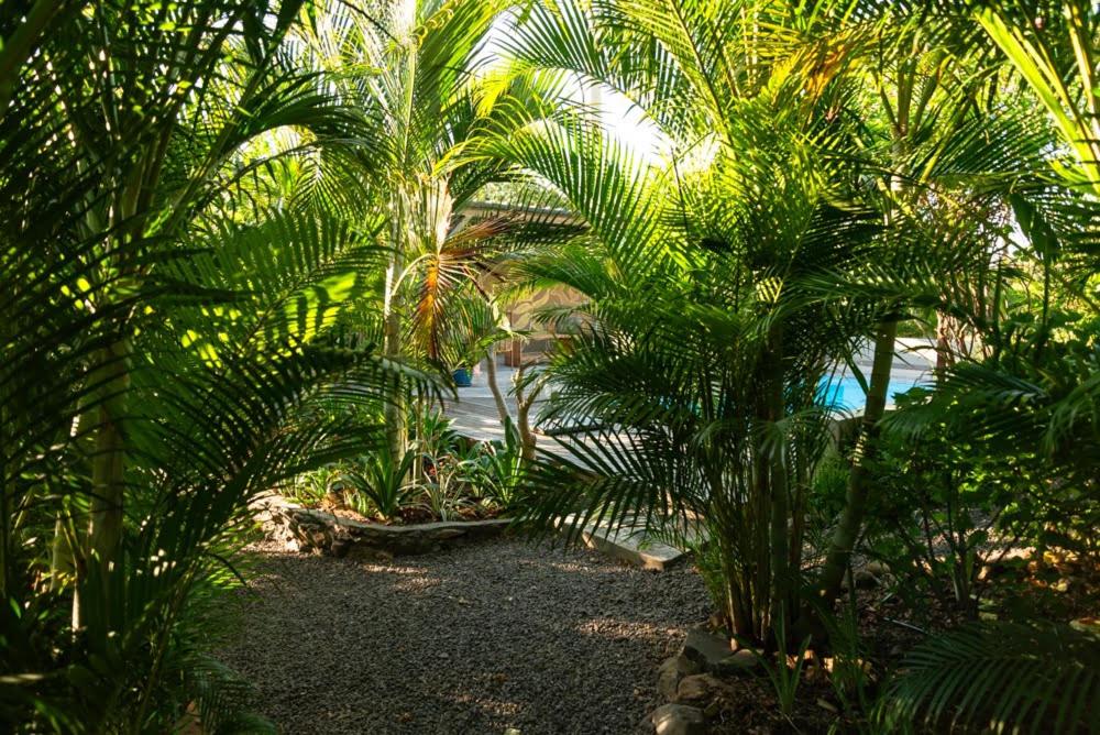 Zahrada ubytování Le Jardin d'Antoinette