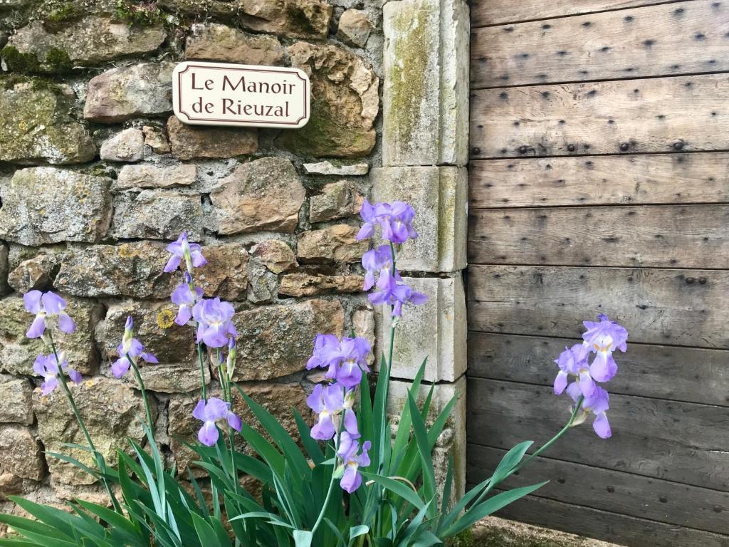 Zahrada ubytování Manoir de Rieuzal