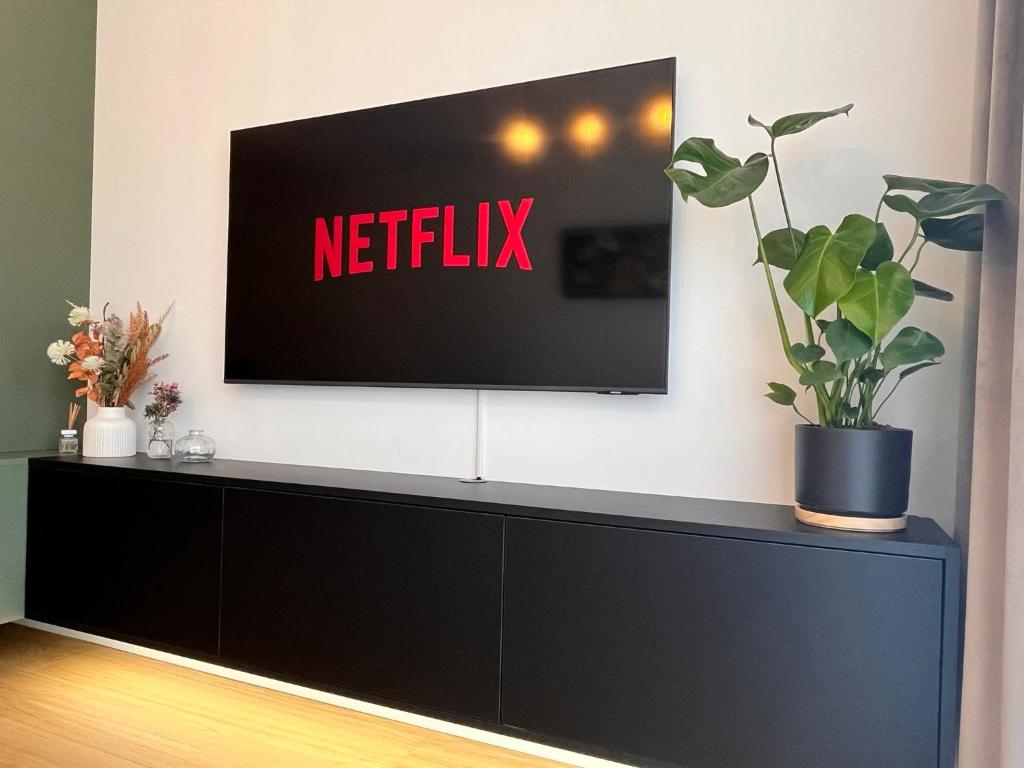 a tv on a wall with a netflix sign on it at VApartment Bratislava , private parking in Koliba