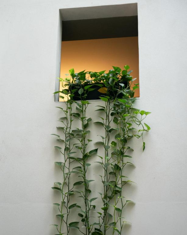 Hotel Ramblas Internacional - Resim 12