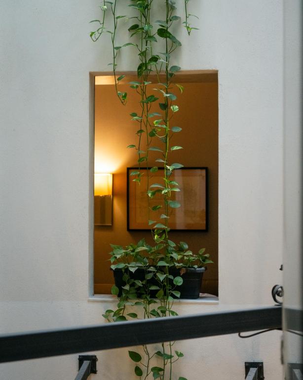 Hotel Ramblas Internacional - Resim 10