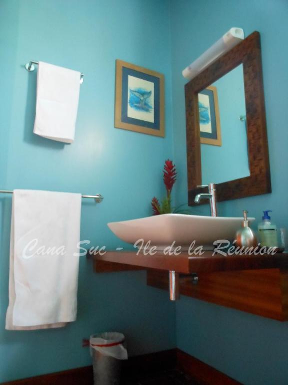 a bathroom with a sink and a mirror at Cana Suc in Sainte-Rose