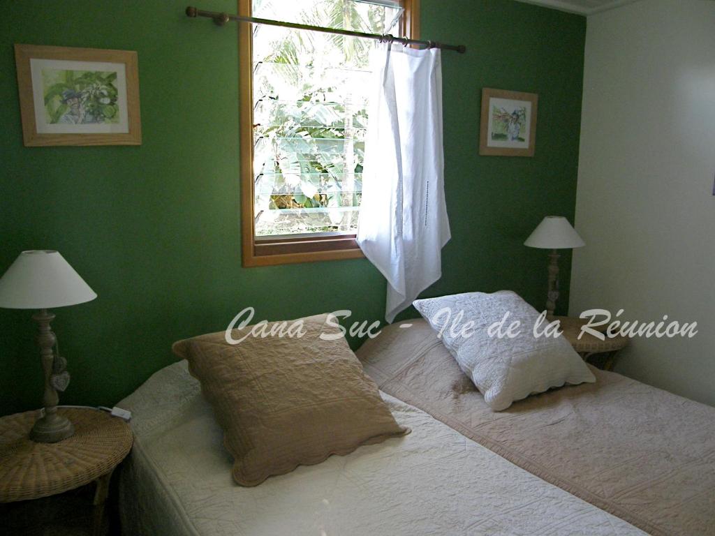 a green bedroom with a bed with a window at Cana Suc in Sainte-Rose