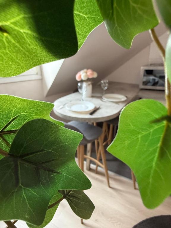 Φωτογραφία από το άλμπουμ του Appartement Strasbourg Centre στο Στρασβούργο