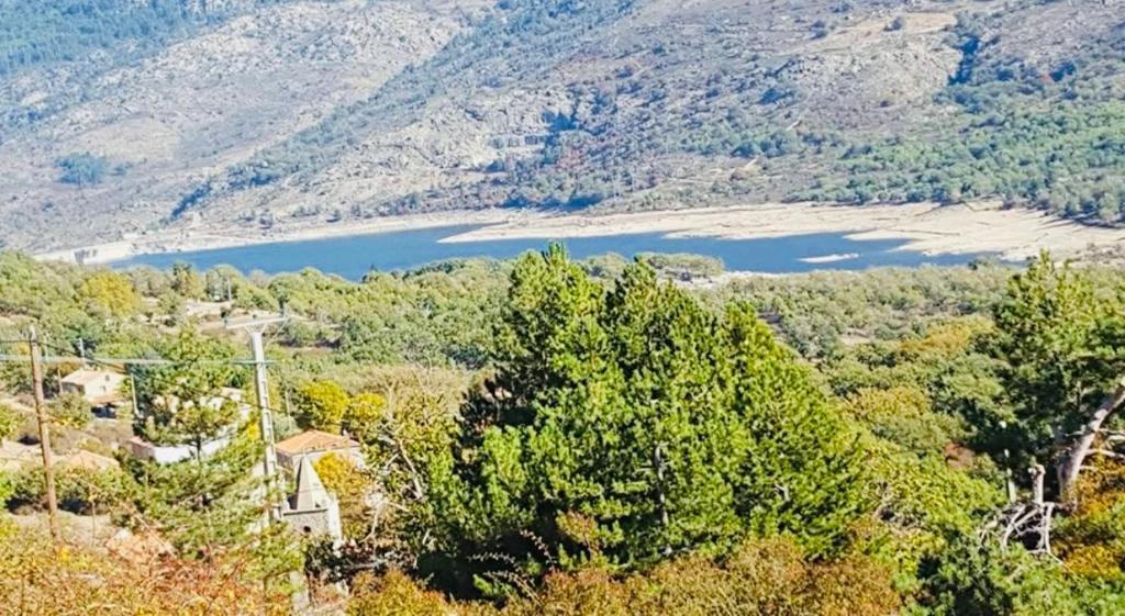 una vista di una montagna con alberi e un lago di À casetta a Albertacce