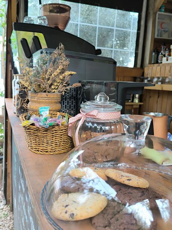 a counter with cookies and a glass plate on it at Litost Cafe in Adrasan
