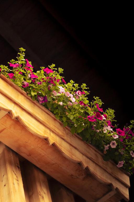 Hotel Kögele bei Innsbruck Axamer Lizum - Resim 12