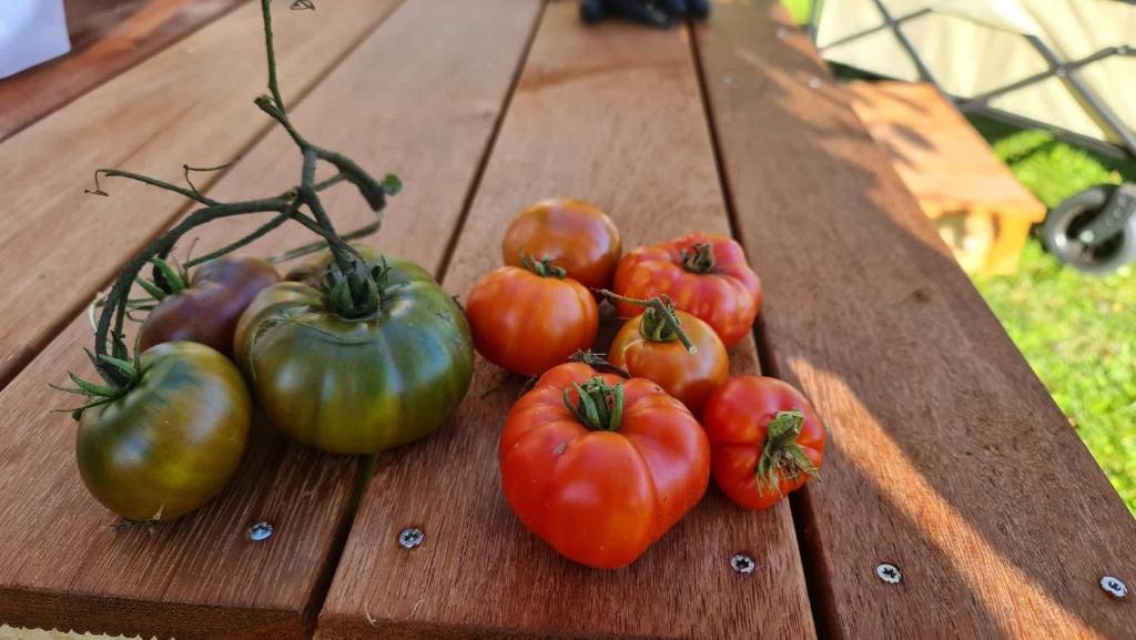 Applewood Cabin 1 by Tiny Away - Resim 13