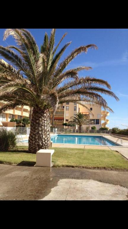 un palmier en face d'un bâtiment avec piscine dans l'établissement Appartement vue mer, au Barcarès
