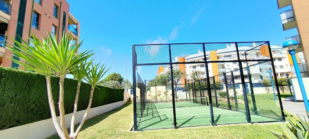 Tenis alebo squash v ubytovaní Apartamento Sueños del Mar II by DENIA COSTA alebo jeho okolí