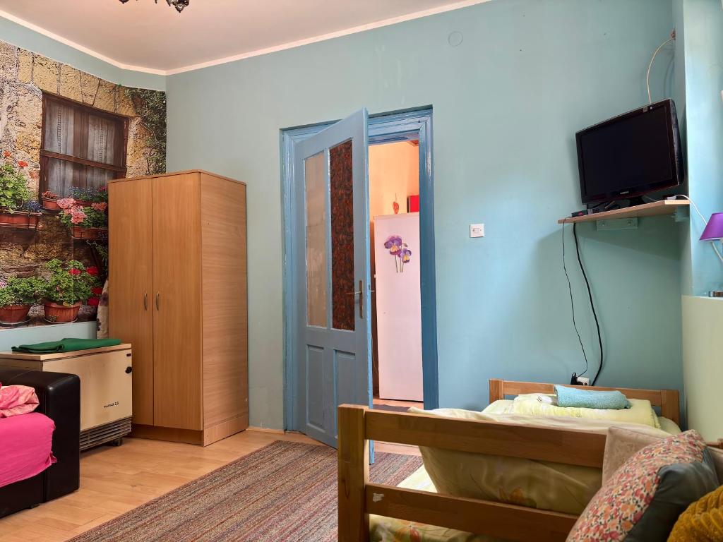 TV a/nebo společenská místnost v ubytování Vracar Affordable Suites - Vracar Povoljni Stanovi