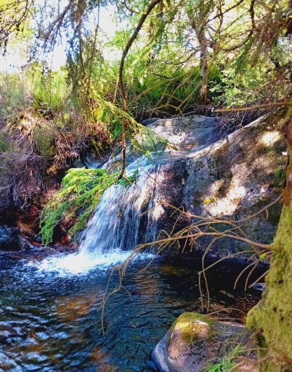 Paesaggio naturale nelle vicinanze dell'appartamento