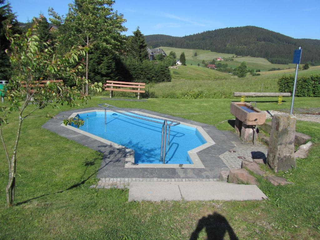 a shadow of a person standing next to a swimming pool at ZUR TRAUBE Schwarzwaldhotel & Restaurant am Titisee in Titisee-Neustadt