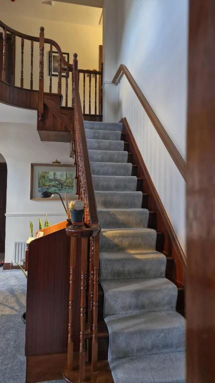 Fotografie z fotogalerie ubytování Wytchwood B&B v destinaci Clonakilty