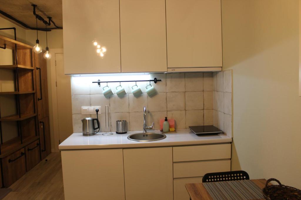 Kuchyň nebo kuchyňský kout v ubytování Your Cozy Apartment in New Gudauri, Loft 2 #432