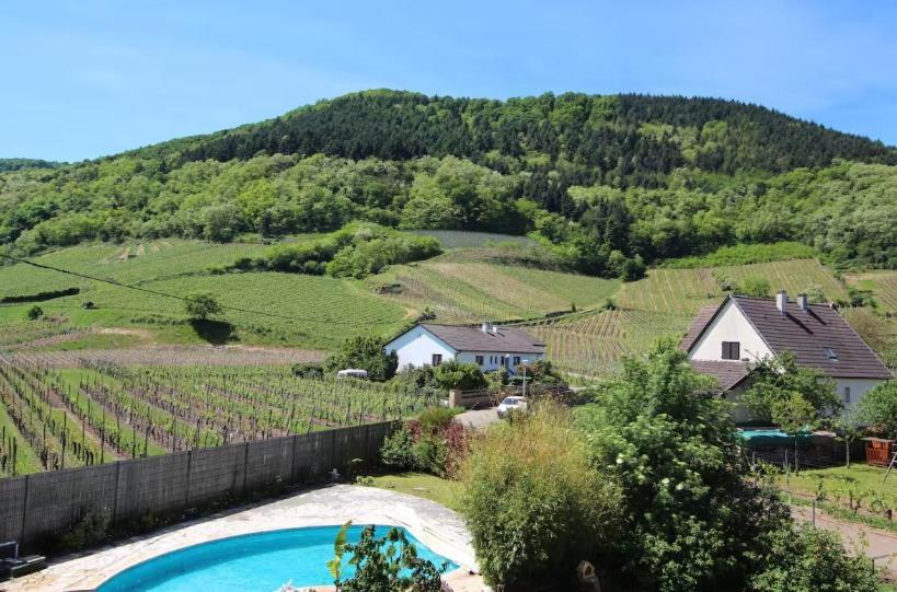 La Belle Étape, Appartement avec Piscine et Spa – photo 10