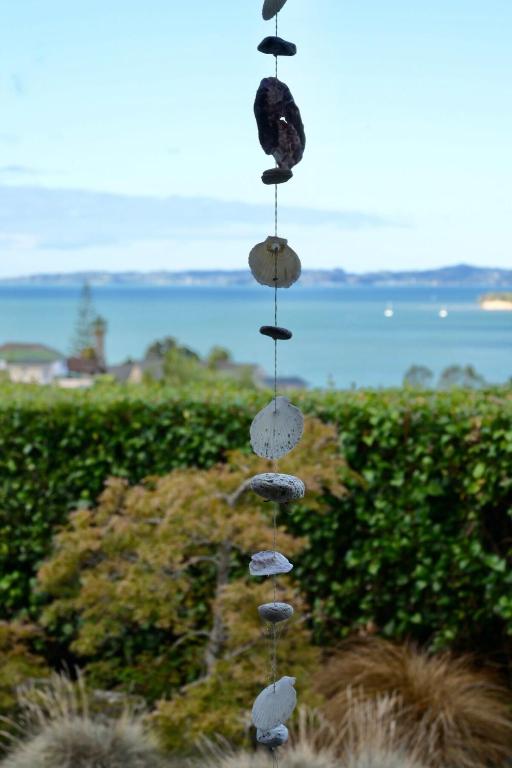 Seabreeze Pearl - Resim 18