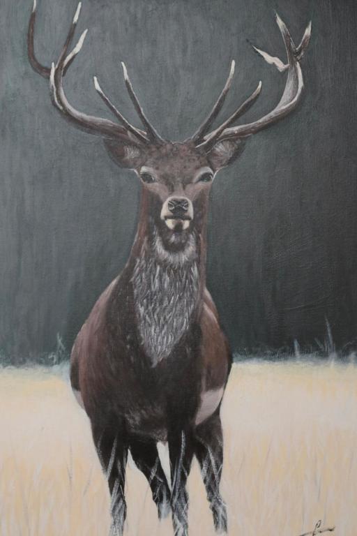 Seabreeze Pearl - Resim 14