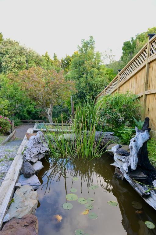 Seabreeze Pearl - Resim 15