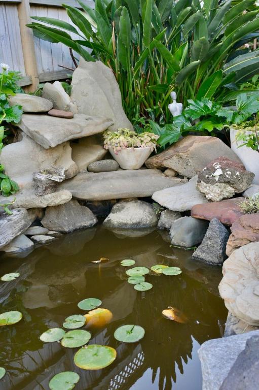 Seabreeze Pearl - Resim 13