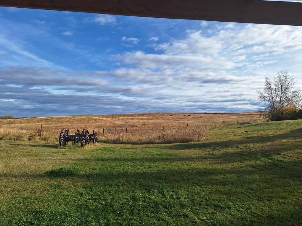 a group of horses standing in a field at Misty Ridge Retreat B&B in Foothills