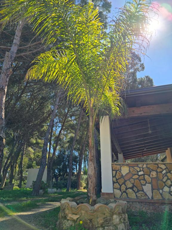 Zahrada ubytování Village Camping Fico D'India