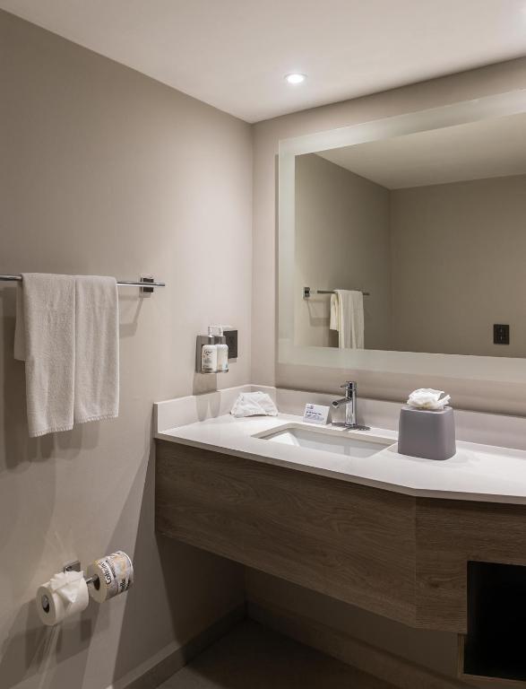Koupelna v ubytování Holiday Inn Express Tapachula by IHG
