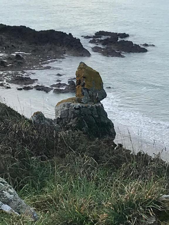 une formation rocheuse du côté de l'océan dans l'établissement Face à la mer, à Erquy