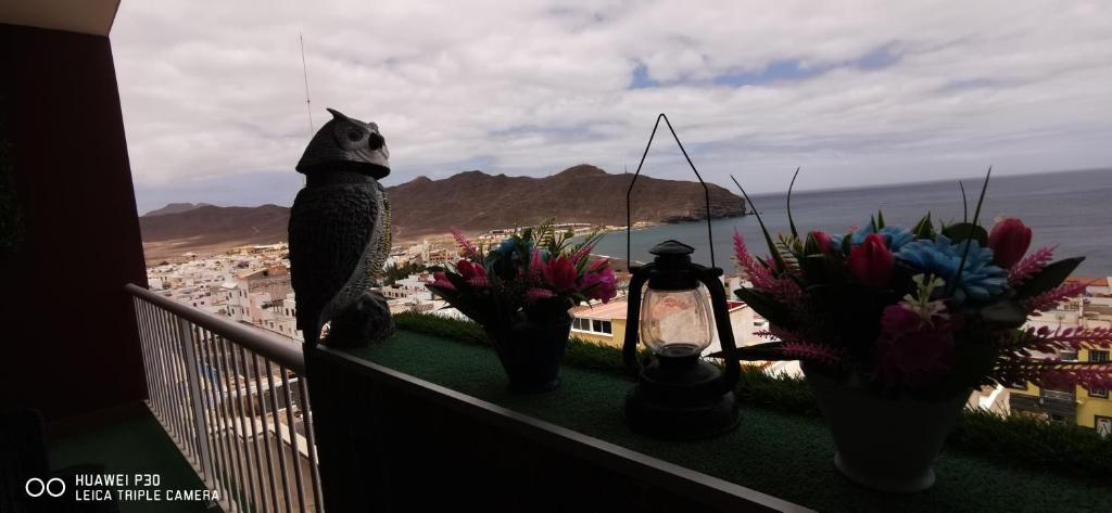 a cat is sitting on a balcony with flowers at Wind Rose Duplex in Gran Tarajal