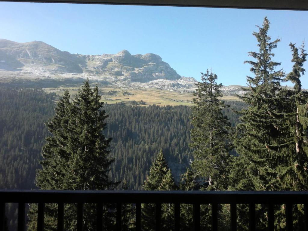 Príroda v okolí apartmánu