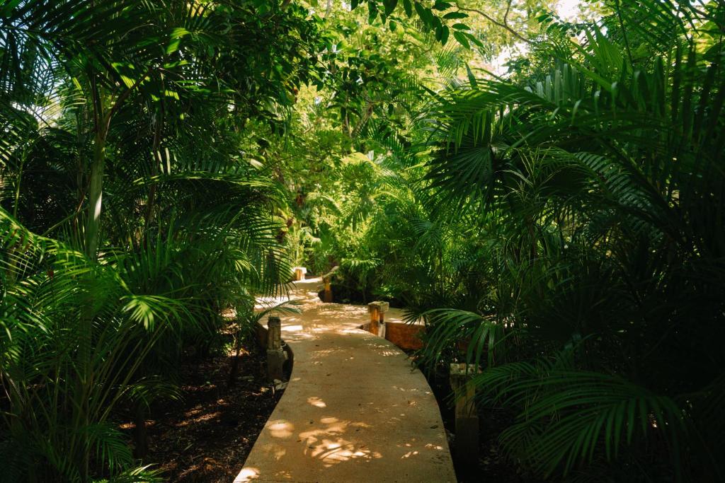 Aldea Coba An Escape Boutique Experience - Housity