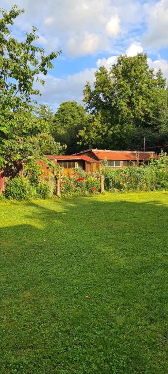 Zahrada ubytování Complex de pensiuni si casute - Lac Bistricioara
