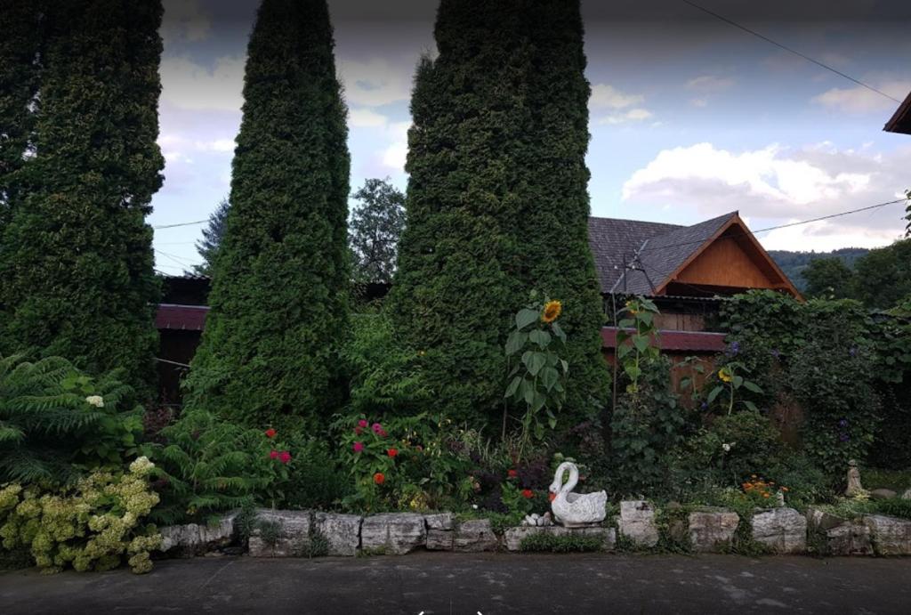Zahrada ubytování Complex de pensiuni si casute - Lac Bistricioara