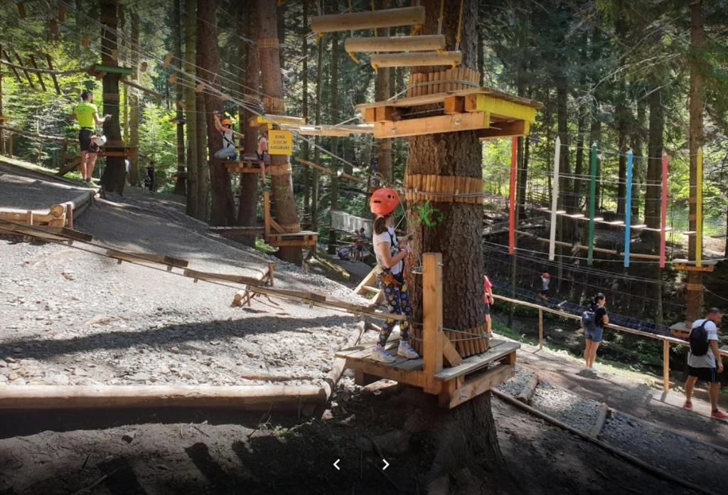 Hosté ubytování Complex de pensiuni si casute - Lac Bistricioara